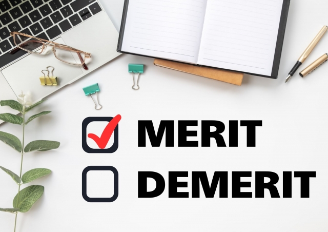 MERIT・DEMERITとかかれたチェックボックスがあり、MERITのボックスにチェックが入っている